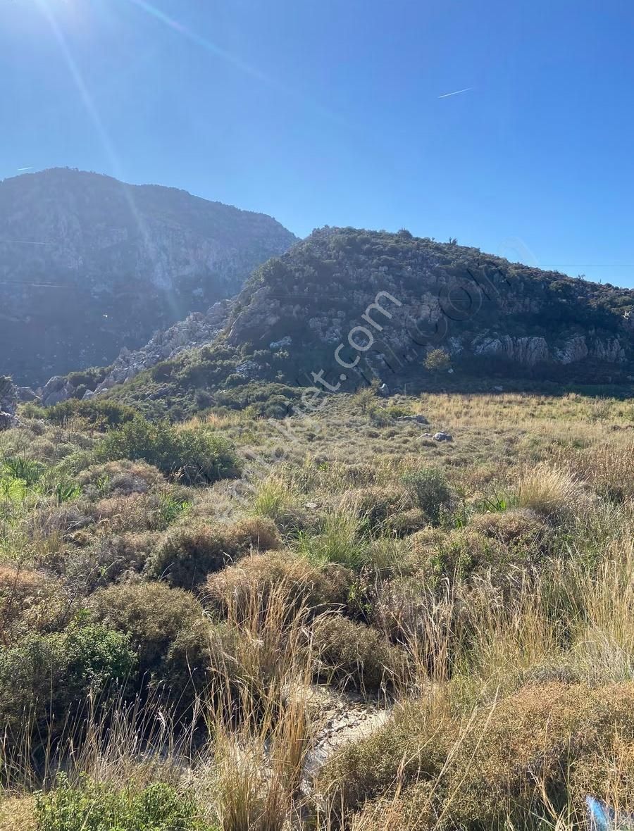 Marmaris Bozburun Satılık Deniz Manzaralı Anayol Cepheli Tarla - Görsel 4
