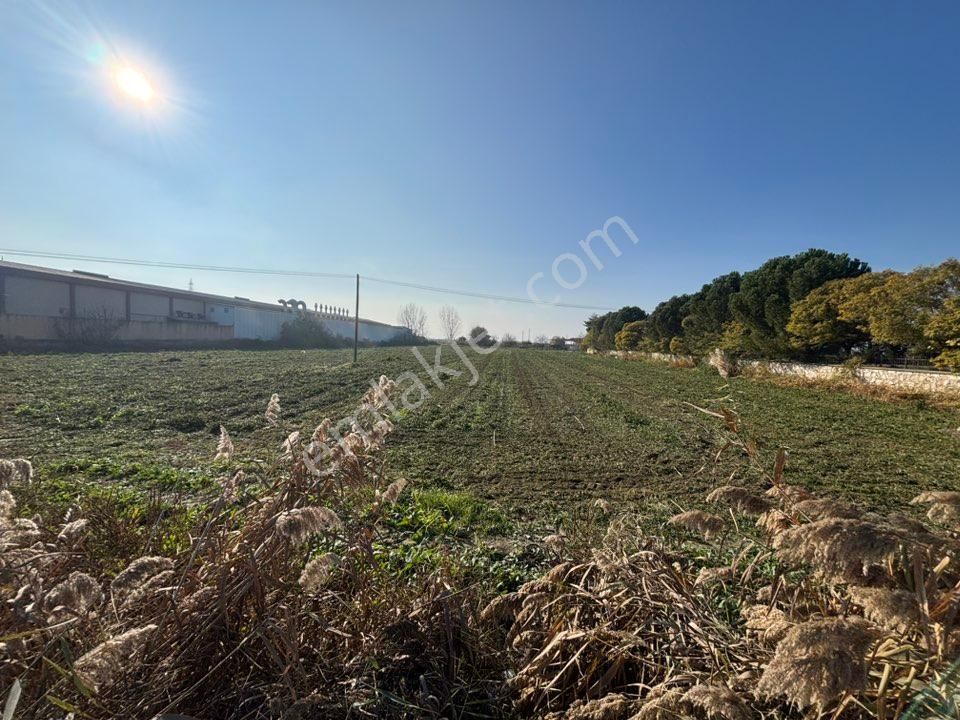 Tc Emlaktan Satılık Merkeze Yakın İmara Girmiş Tarla ! - Görsel 15