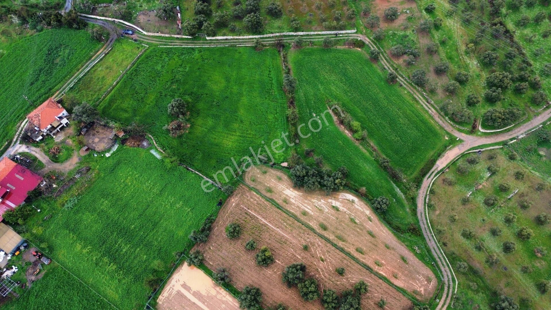 Milas'a 8 Km Doğa Manzaralı 3.651m² Konut Arsaları Kat Karşılığı - Görsel 12