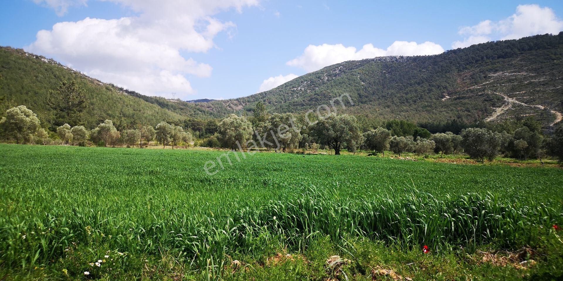 Milas'a 8 Km Doğa Manzaralı 3.651m² Konut Arsaları Kat Karşılığı - Görsel 11