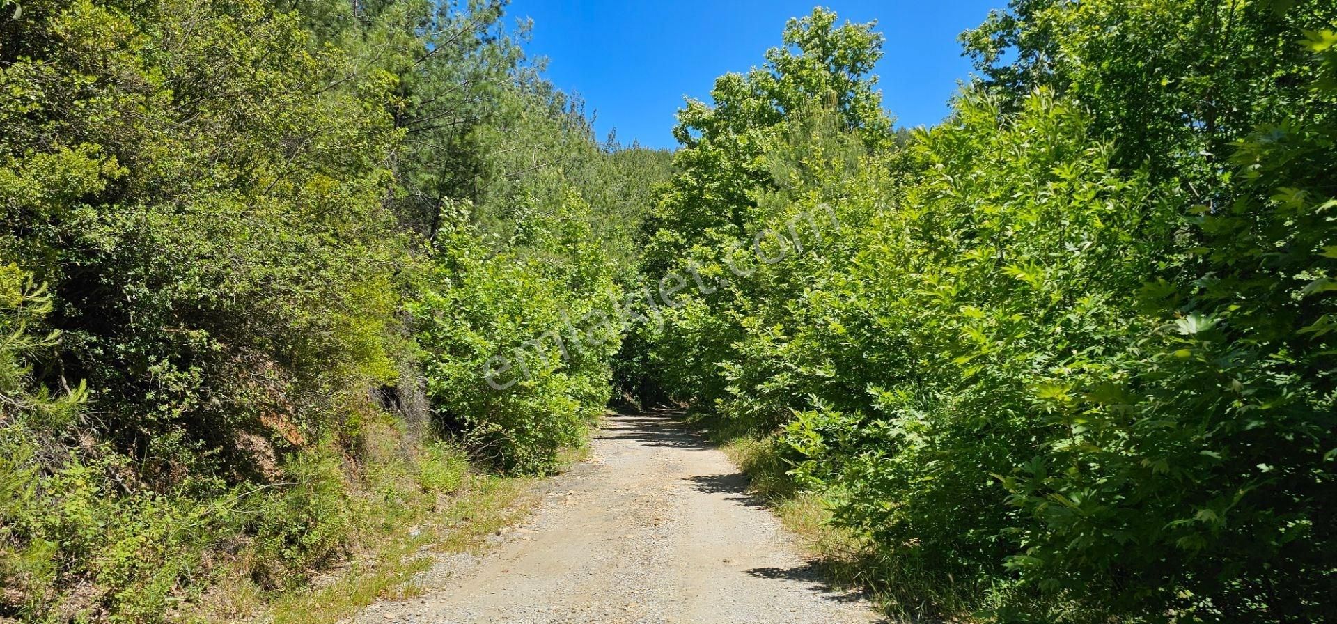 Milas'a 8 Km Doğa Manzaralı 3.651m² Konut Arsaları Kat Karşılığı - Görsel 21