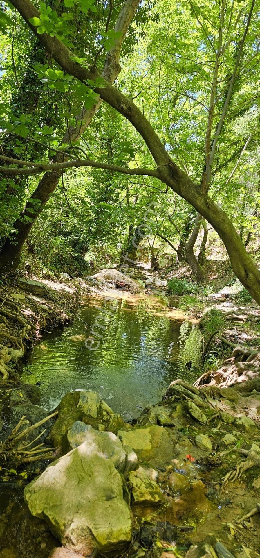 Milas'a 8 Km Doğa Manzaralı 3.651m² Konut Arsaları Kat Karşılığı - Görsel 9