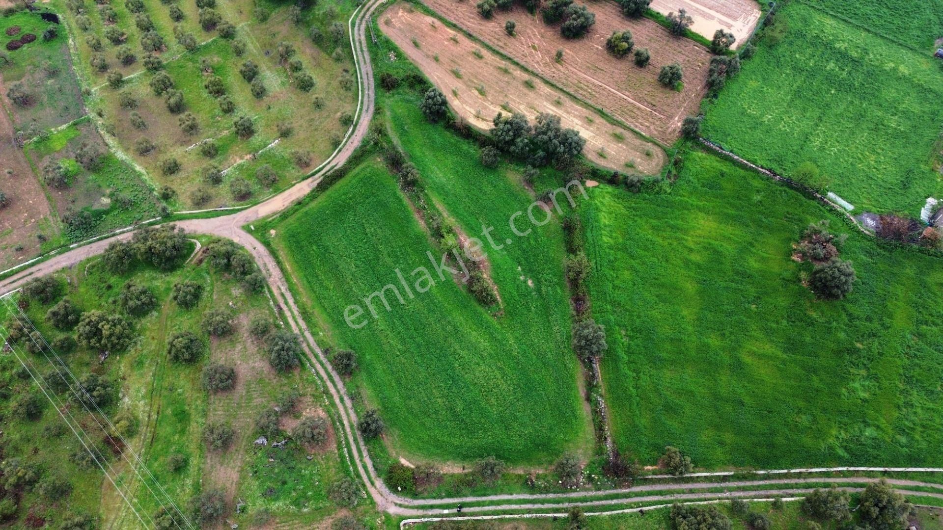 Milas'a 8 Km Doğa Manzaralı 3.651m² Konut Arsaları Kat Karşılığı - Görsel 7