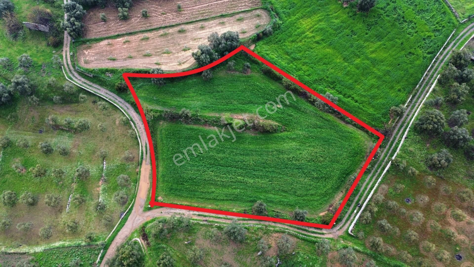 Milas'a 8 Km Doğa Manzaralı 3.651m² Konut Arsaları Kat Karşılığı - Görsel 8