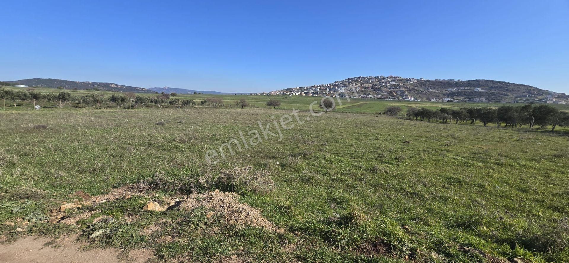 Yenibağarası Anayola Yakın, 7 Hissedar Kooperatif'e Uygun Tarla - Görsel 3