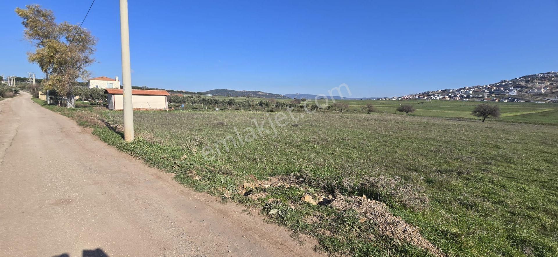 Yenibağarası Anayola Yakın, 7 Hissedar Kooperatif'e Uygun Tarla