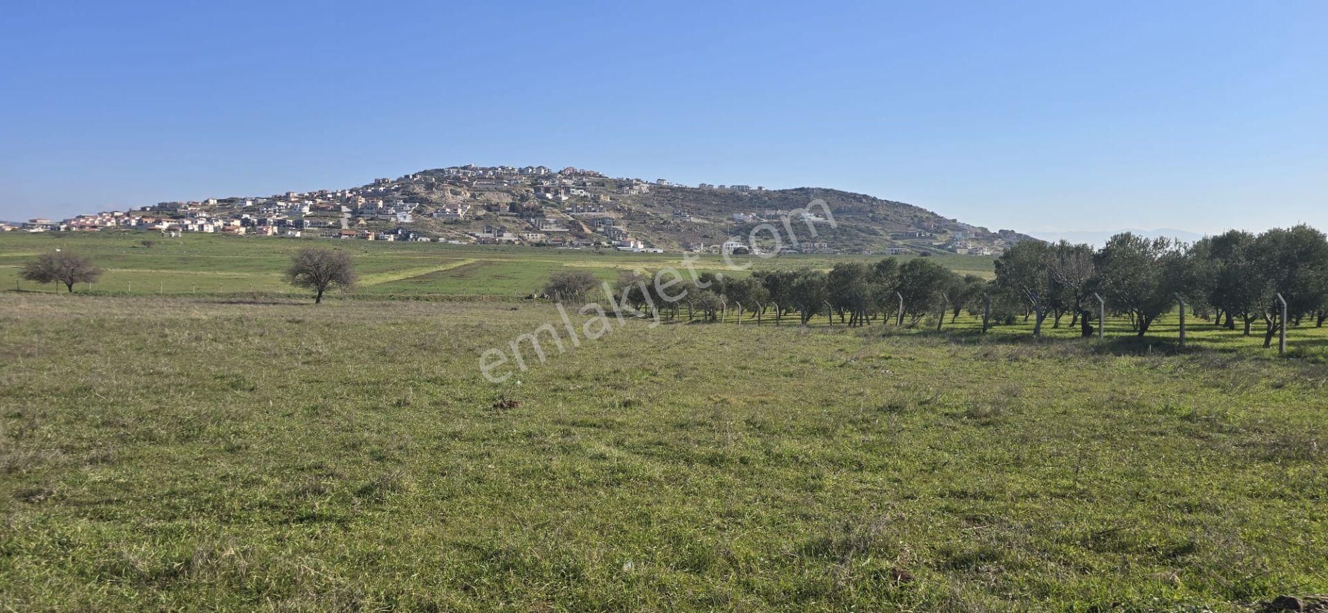 Yenibağarası Anayola Yakın, 7 Hissedar Kooperatif'e Uygun Tarla - Görsel 6