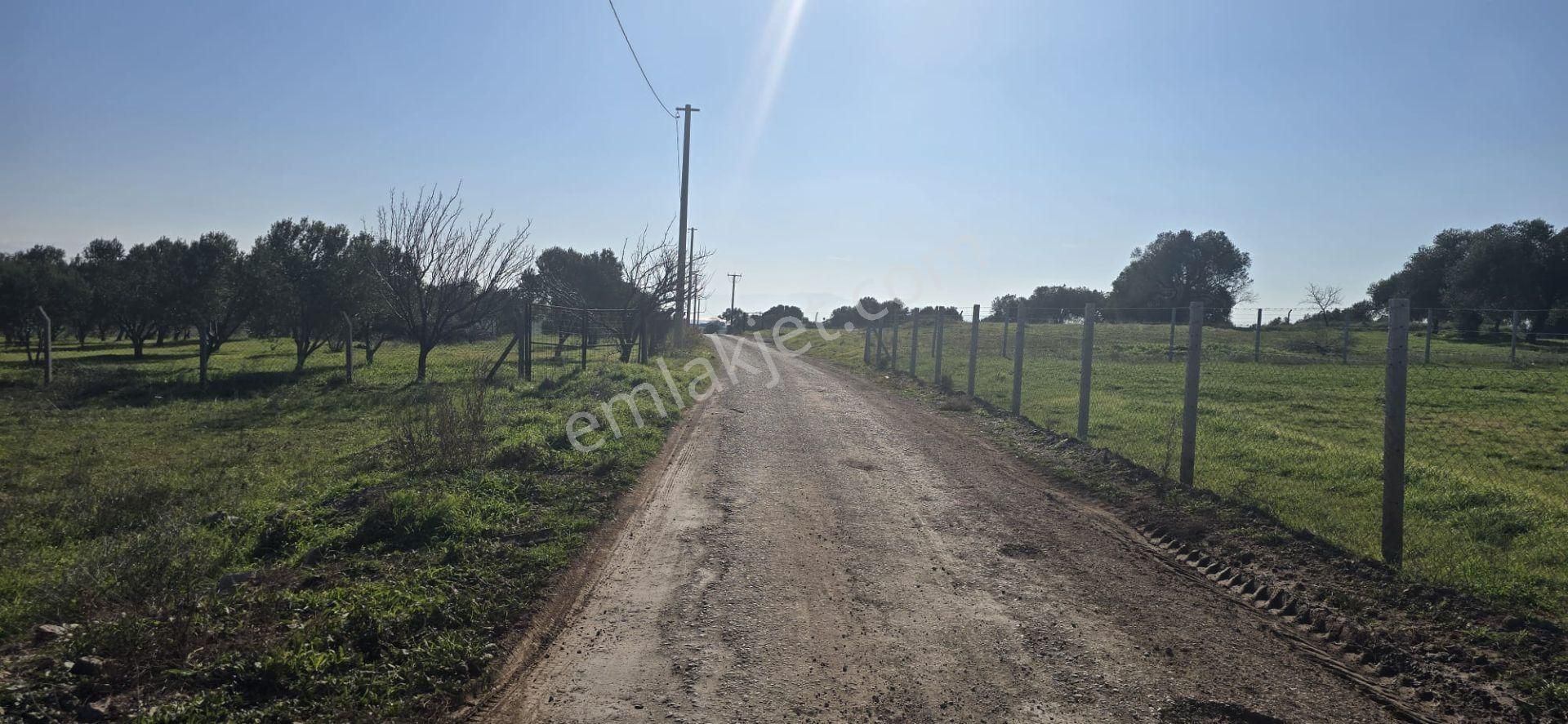 Yenibağarası Anayola Yakın, 7 Hissedar Kooperatif'e Uygun Tarla - Görsel 5