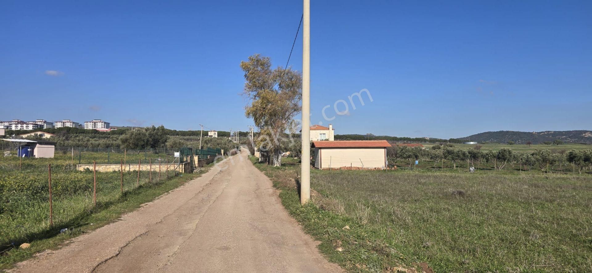 Yenibağarası Anayola Yakın, 7 Hissedar Kooperatif'e Uygun Tarla - Görsel 4