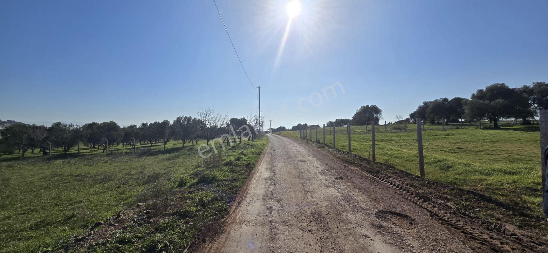 Yenibağarası Anayola Yakın, 7 Hissedar Kooperatif'e Uygun Tarla - Görsel 2
