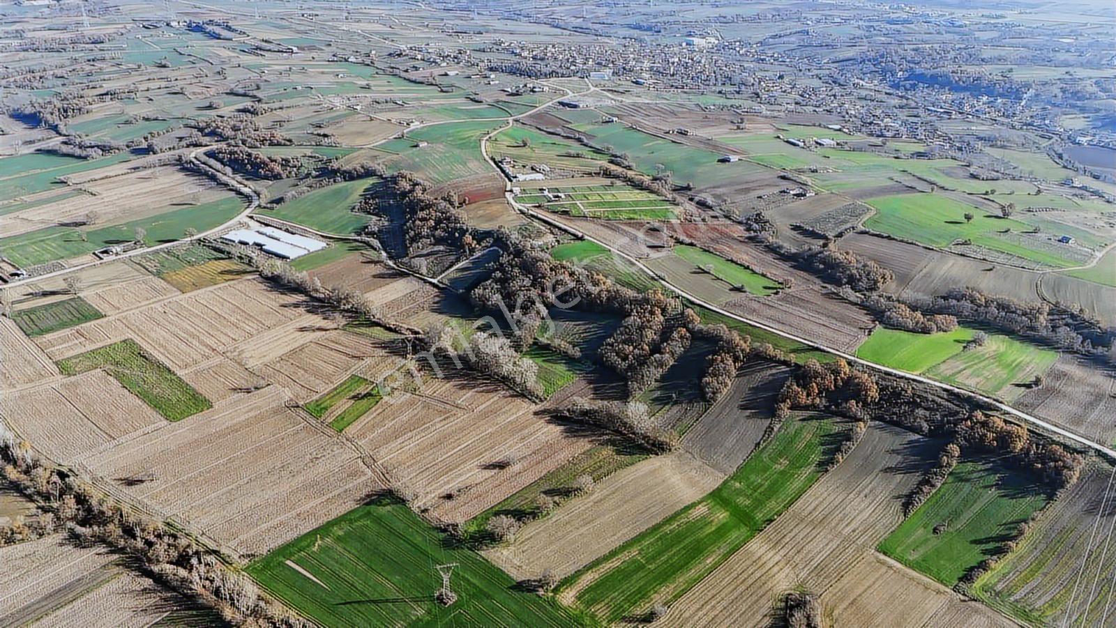 Kw Plushamitabat Köyünde Satılık Tarla - Görsel 16