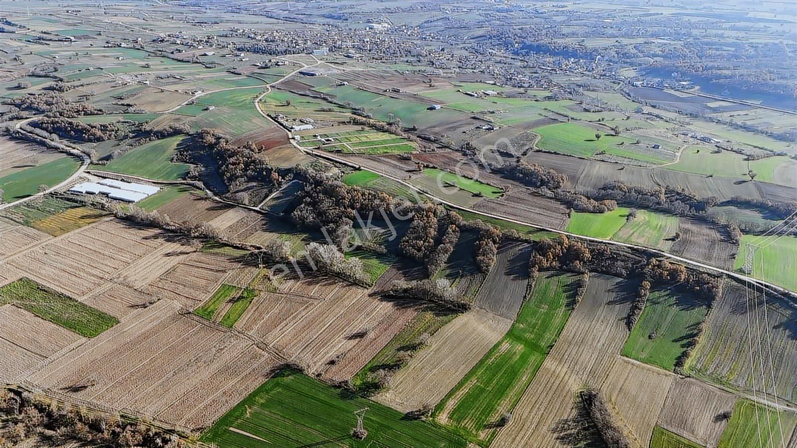 Kw Plushamitabat Köyünde Satılık Tarla - Görsel 3