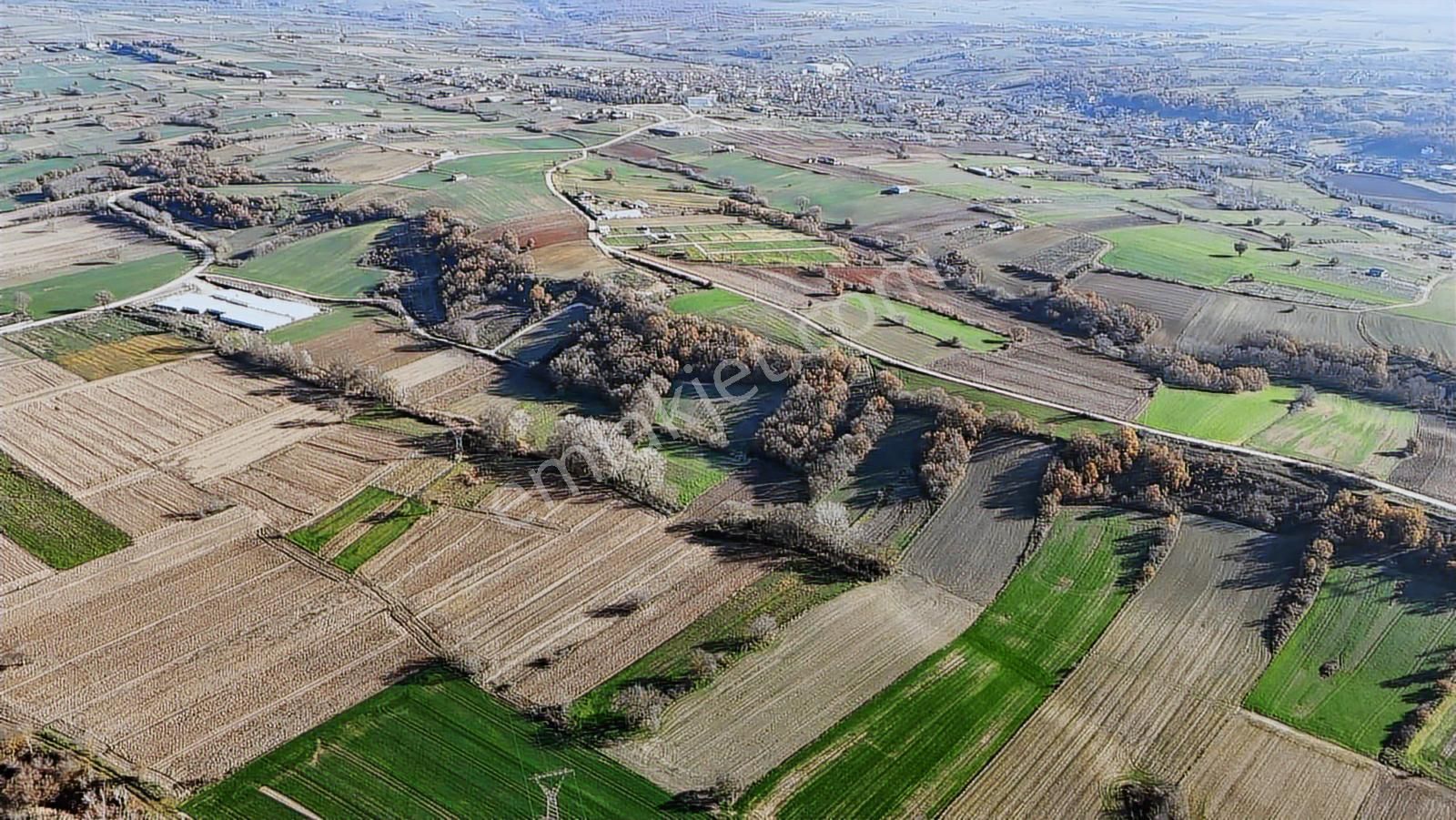 Kw Plushamitabat Köyünde Satılık Tarla - Görsel 6