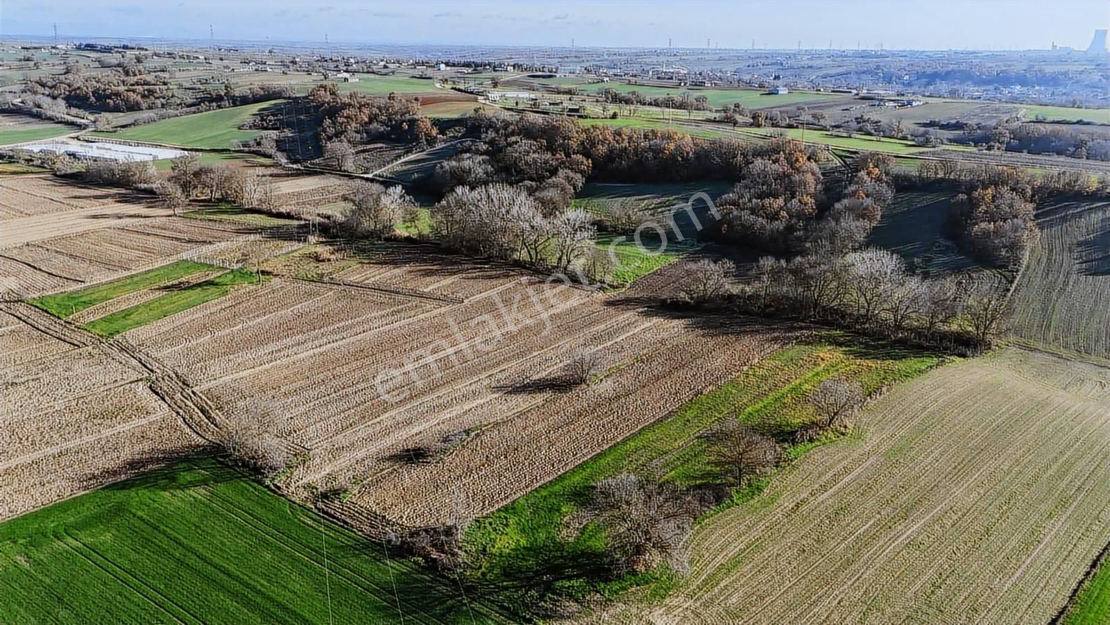 Kw Plushamitabat Köyünde Satılık Tarla - Görsel 7