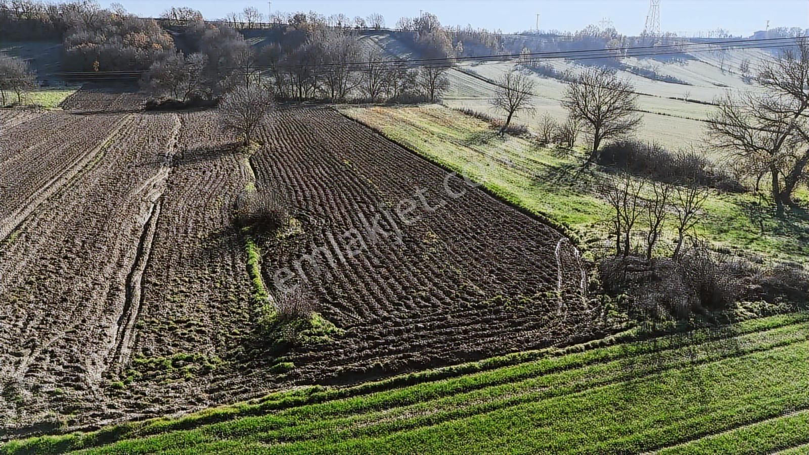 Kw Plushamitabat Köyünde Satılık Tarla - Görsel 5