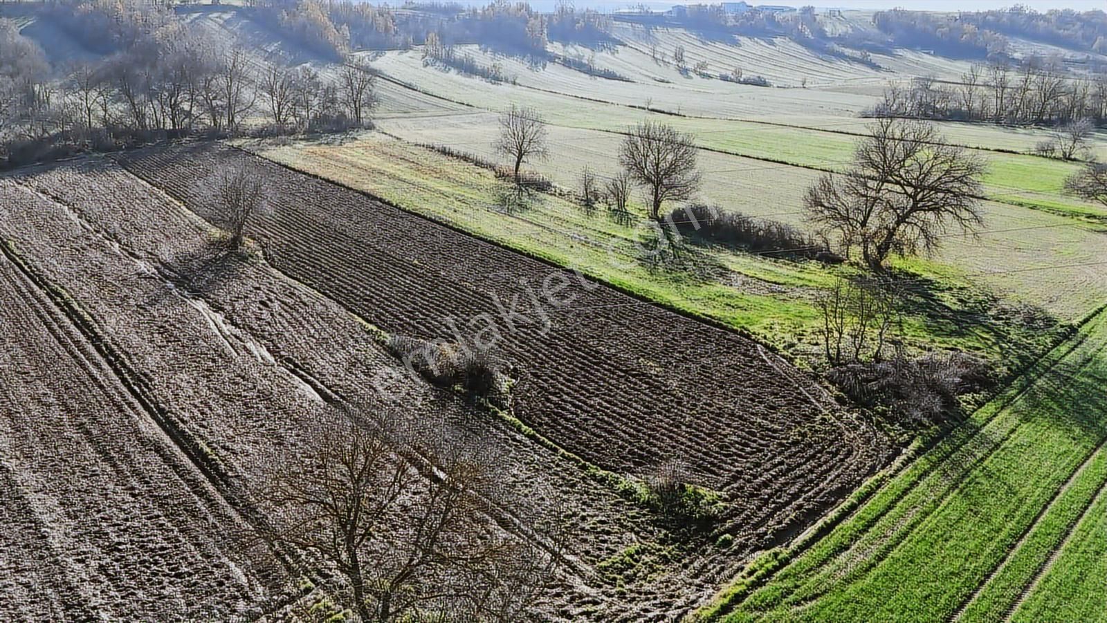Kw Plushamitabat Köyünde Satılık Tarla - Görsel 11