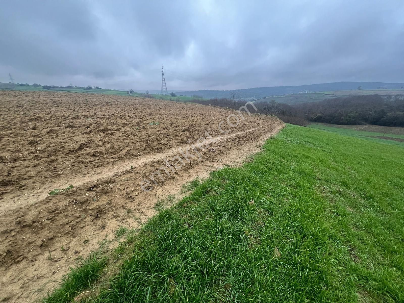 Hem Yatırımlık Hem Tarımlık: Sabırlıda Kusursuz Konumlu Yer