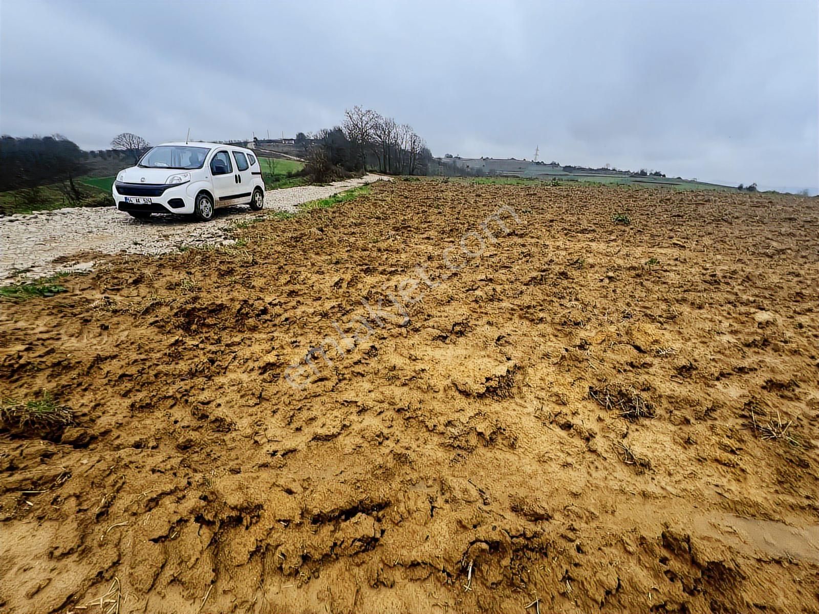 Hem Yatırımlık Hem Tarımlık: Sabırlıda Kusursuz Konumlu Yer - Görsel 6
