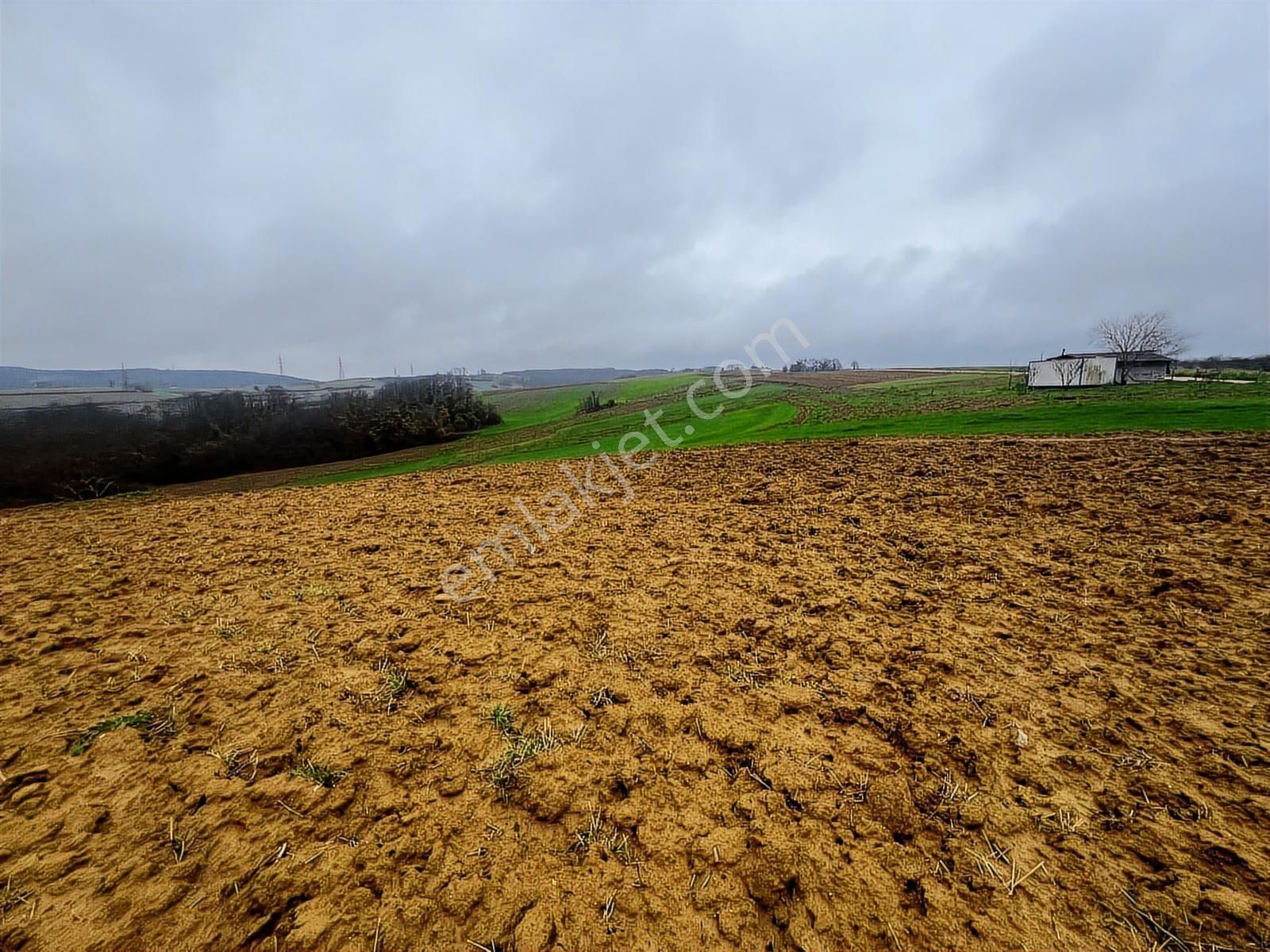 Hem Yatırımlık Hem Tarımlık: Sabırlıda Kusursuz Konumlu Yer - Görsel 7