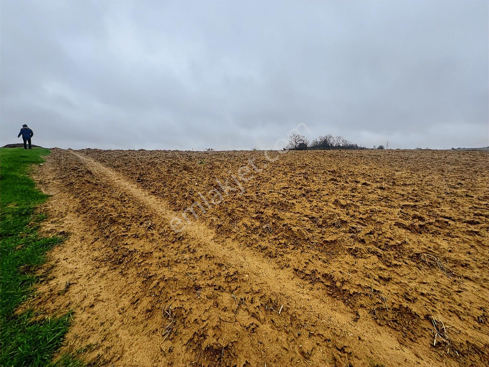 Hem Yatırımlık Hem Tarımlık: Sabırlıda Kusursuz Konumlu Yer - Görsel 10