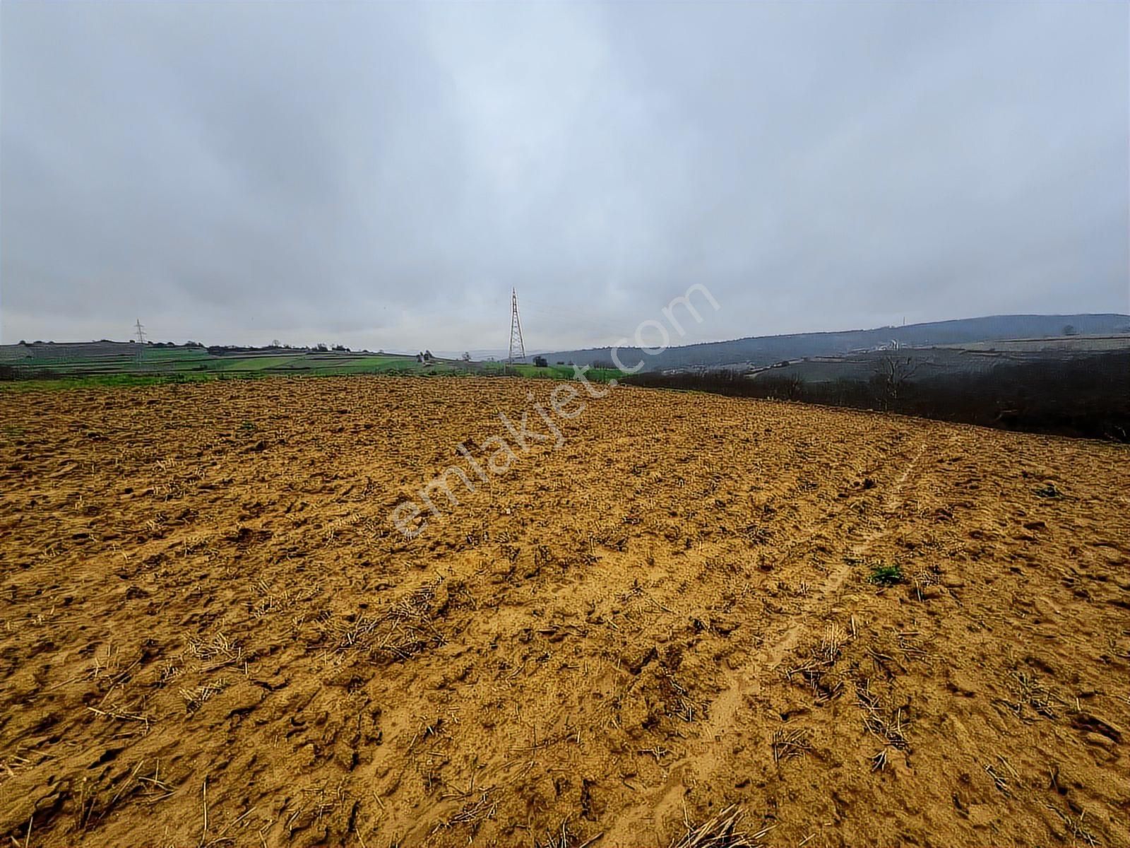 Hem Yatırımlık Hem Tarımlık: Sabırlıda Kusursuz Konumlu Yer - Görsel 5