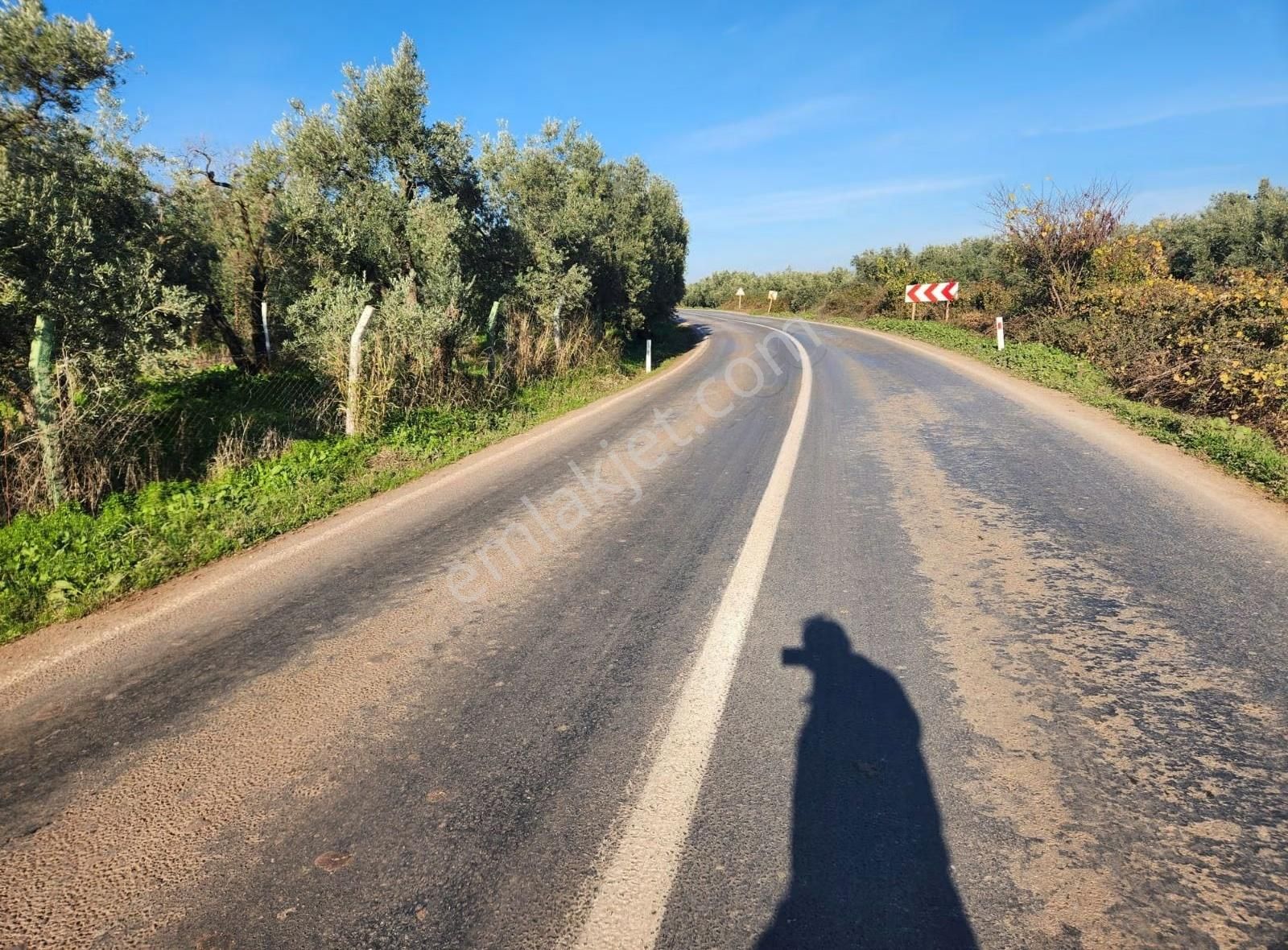 Bursa Emlak Alem-i Yenisölöz De1.365m2 Asfalt Yola Cepheli Acil