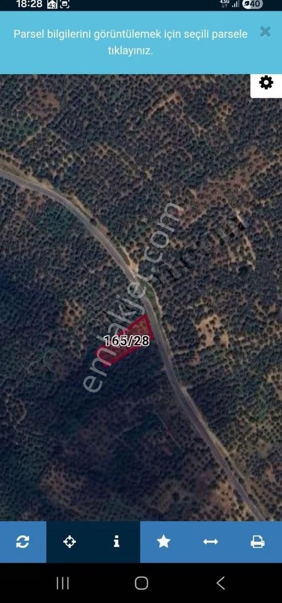 Bursa Emlak Alem-i Yenisölöz De1.365m2 Asfalt Yola Cepheli Acil - Görsel 9