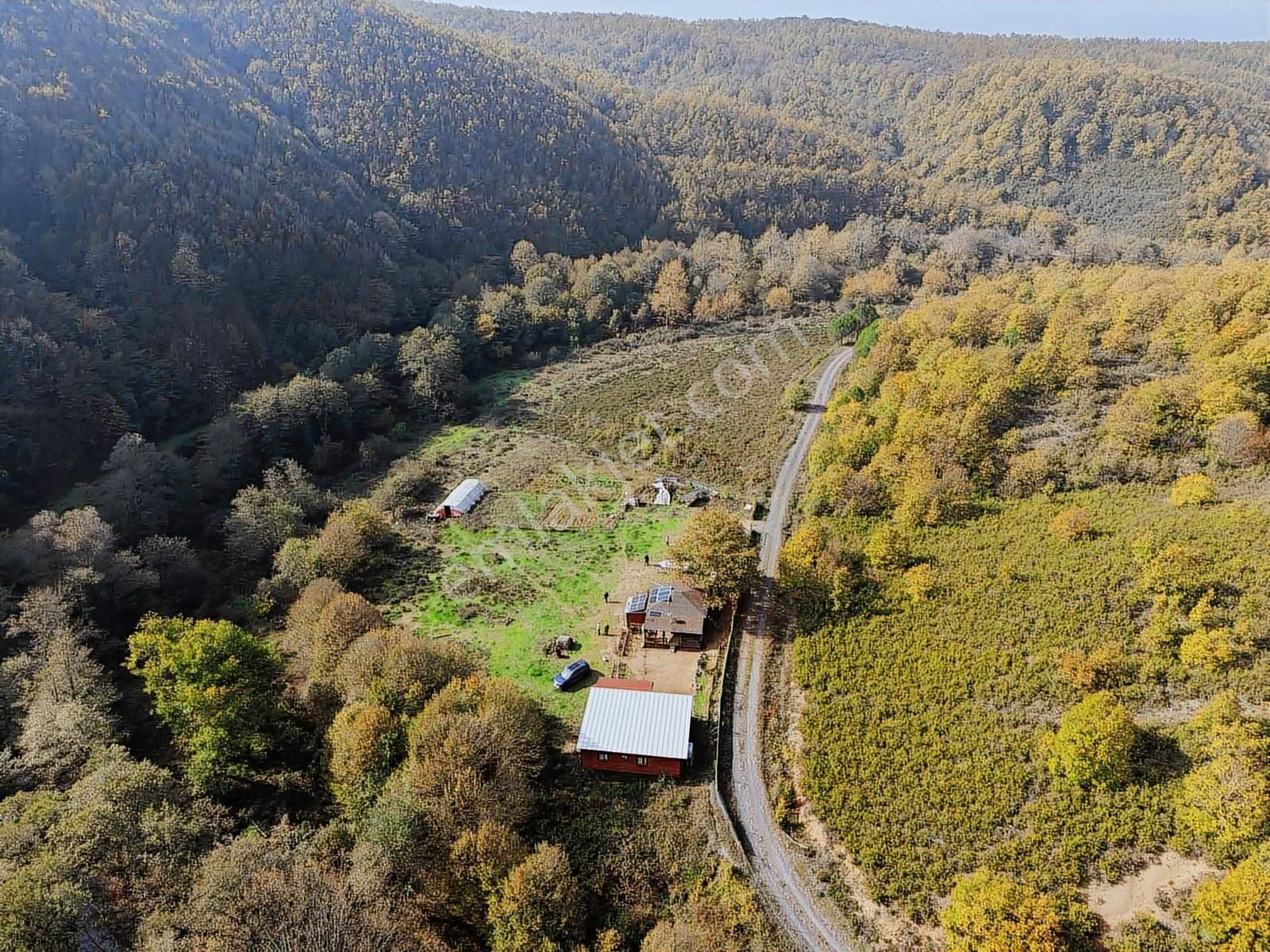 Şile Oruçoğlu Köyünde İçinde Evler Olan Satılık 5500m2 Tarla - Görsel 7