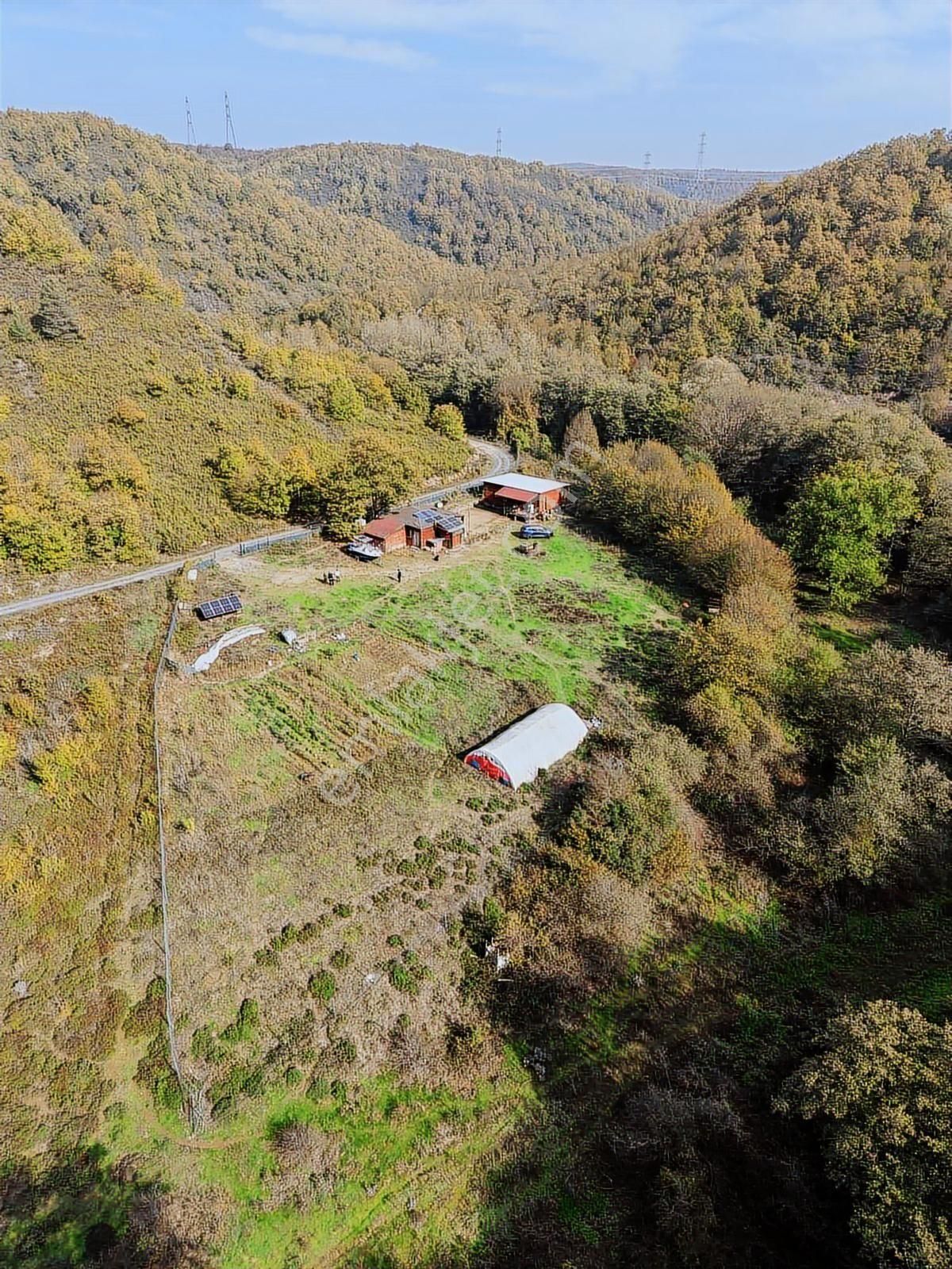 Şile Oruçoğlu Köyünde İçinde Evler Olan Satılık 5500m2 Tarla - Görsel 8