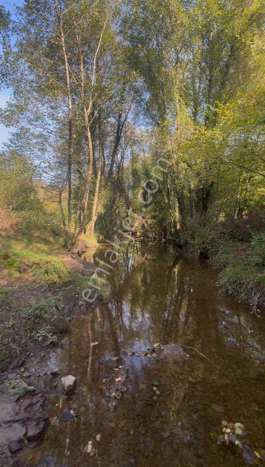 Şile Oruçoğlu Köyünde İçinde Evler Olan Satılık 5500m2 Tarla - Görsel 11