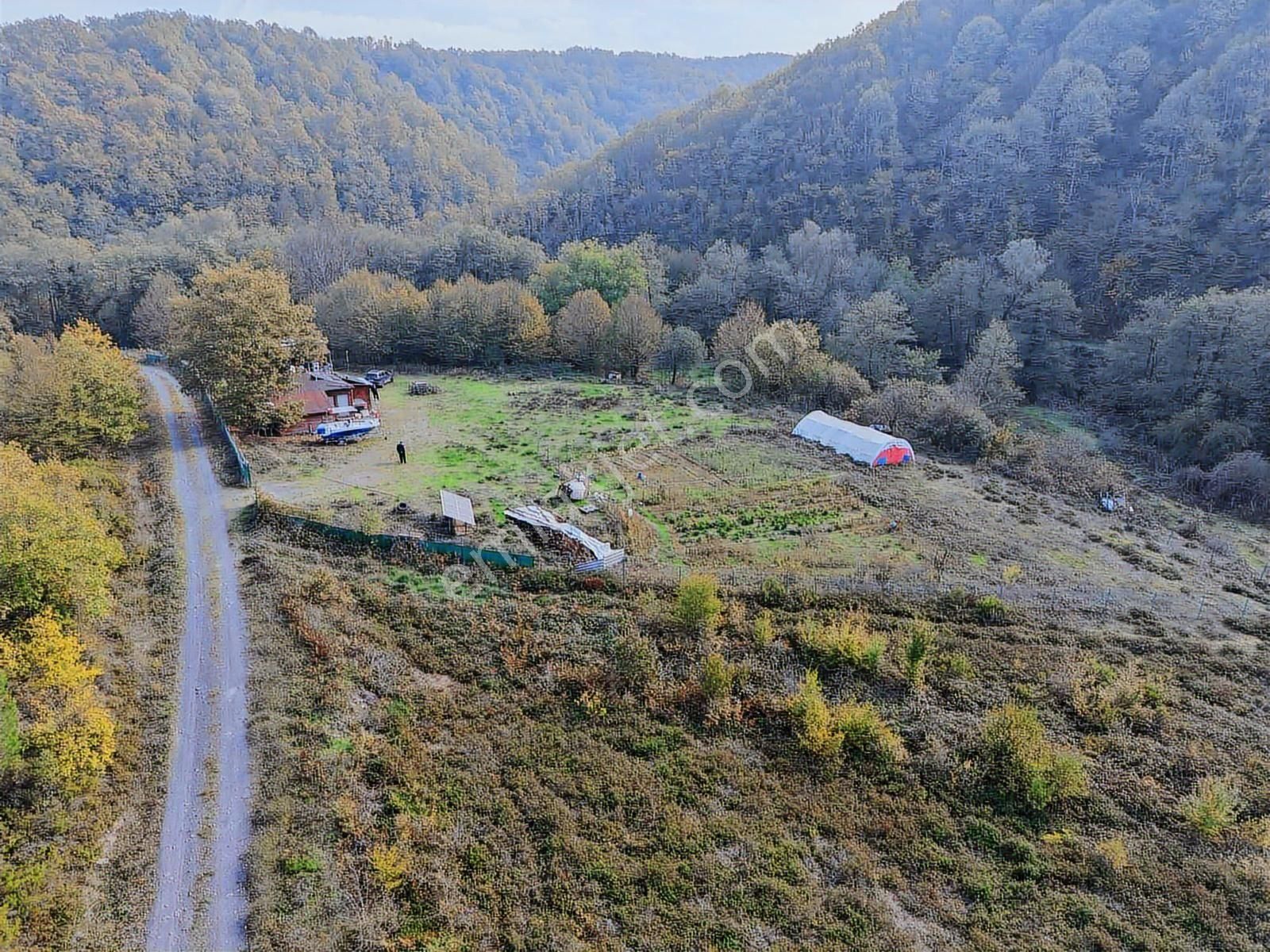 Şile Oruçoğlu Köyünde İçinde Evler Olan Satılık 5500m2 Tarla - Görsel 5