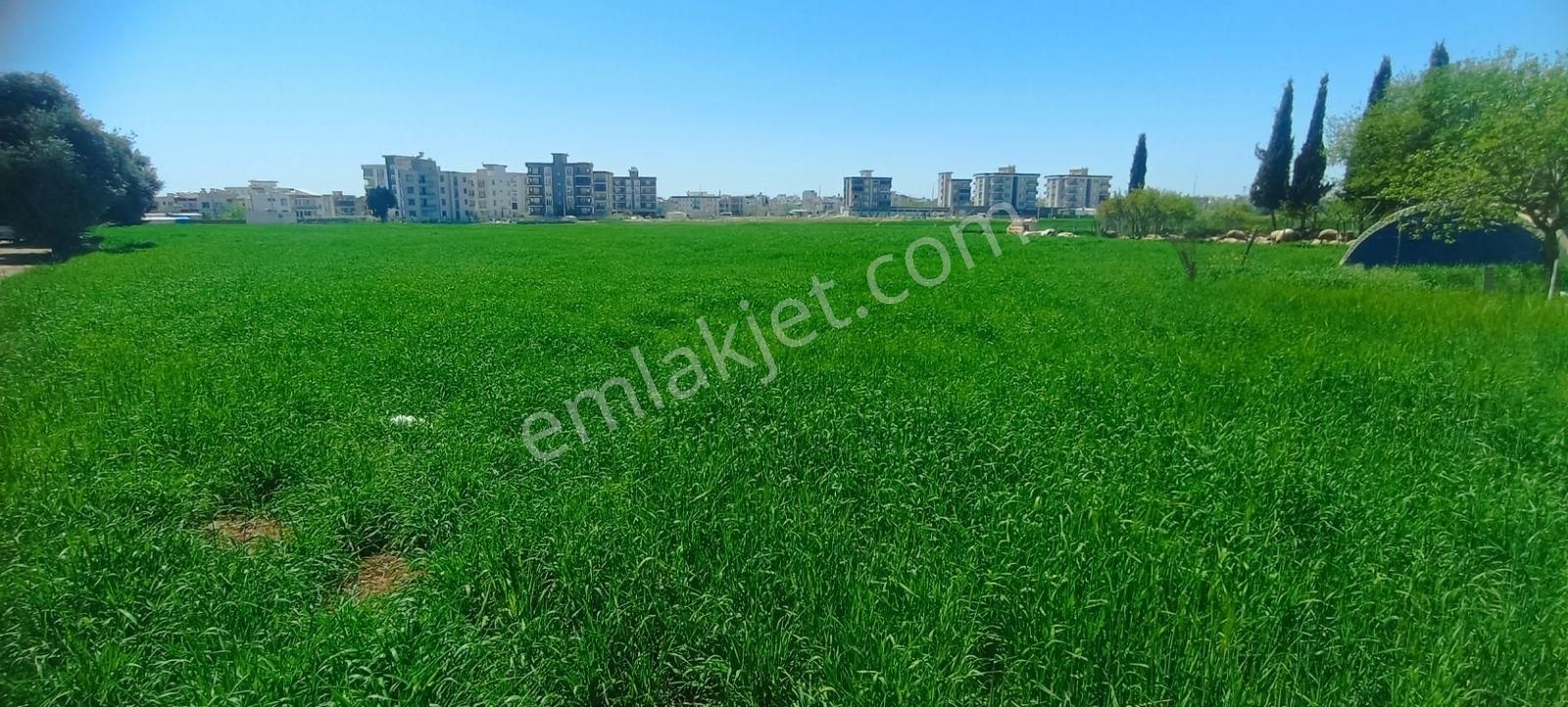 Hakev'den Adıyaman Merkez Yeşilyurt Mahallesi Satılık Arsa - Görsel 13