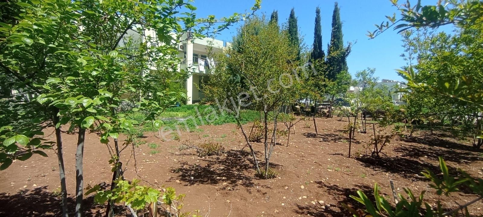 Hakev'den Adıyaman Merkz Yeşilyurt Mahallesi Satılık 768 M2 Arsa