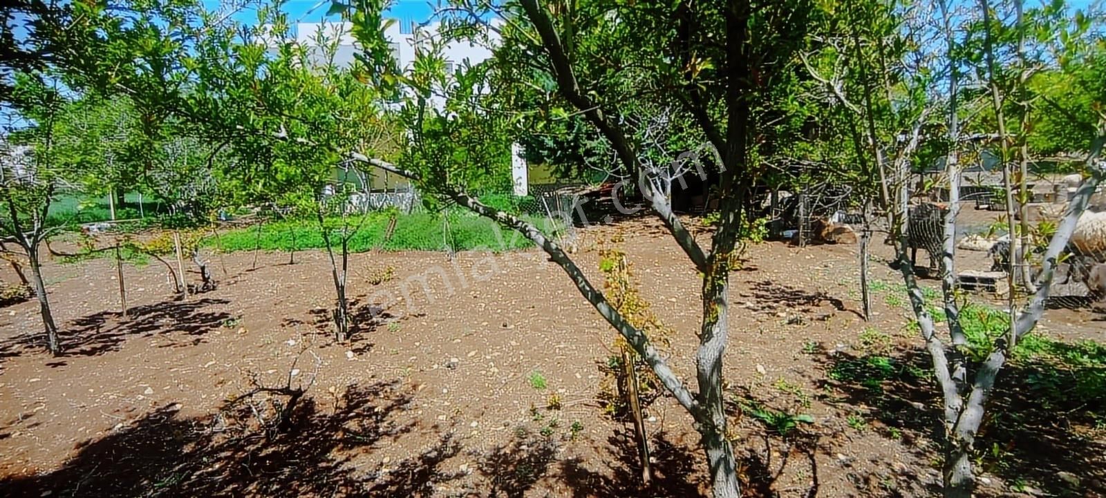 Hakev'den Adıyaman Merkz Yeşilyurt Mahallesi Satılık 768 M2 Arsa - Görsel 25