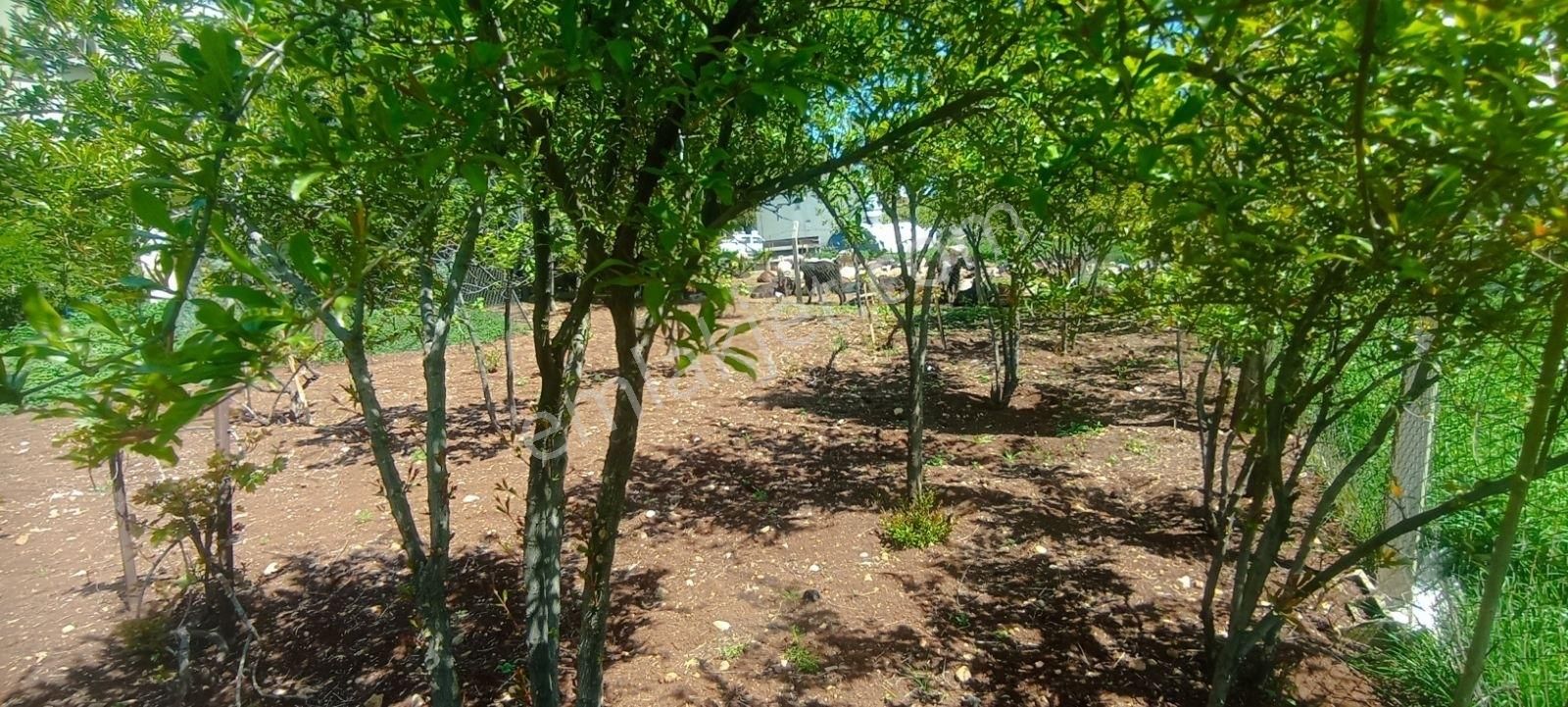 Hakev'den Adıyaman Merkz Yeşilyurt Mahallesi Satılık 768 M2 Arsa - Görsel 9