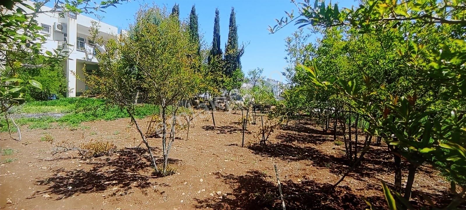 Hakev'den Adıyaman Merkz Yeşilyurt Mahallesi Satılık 768 M2 Arsa - Görsel 19