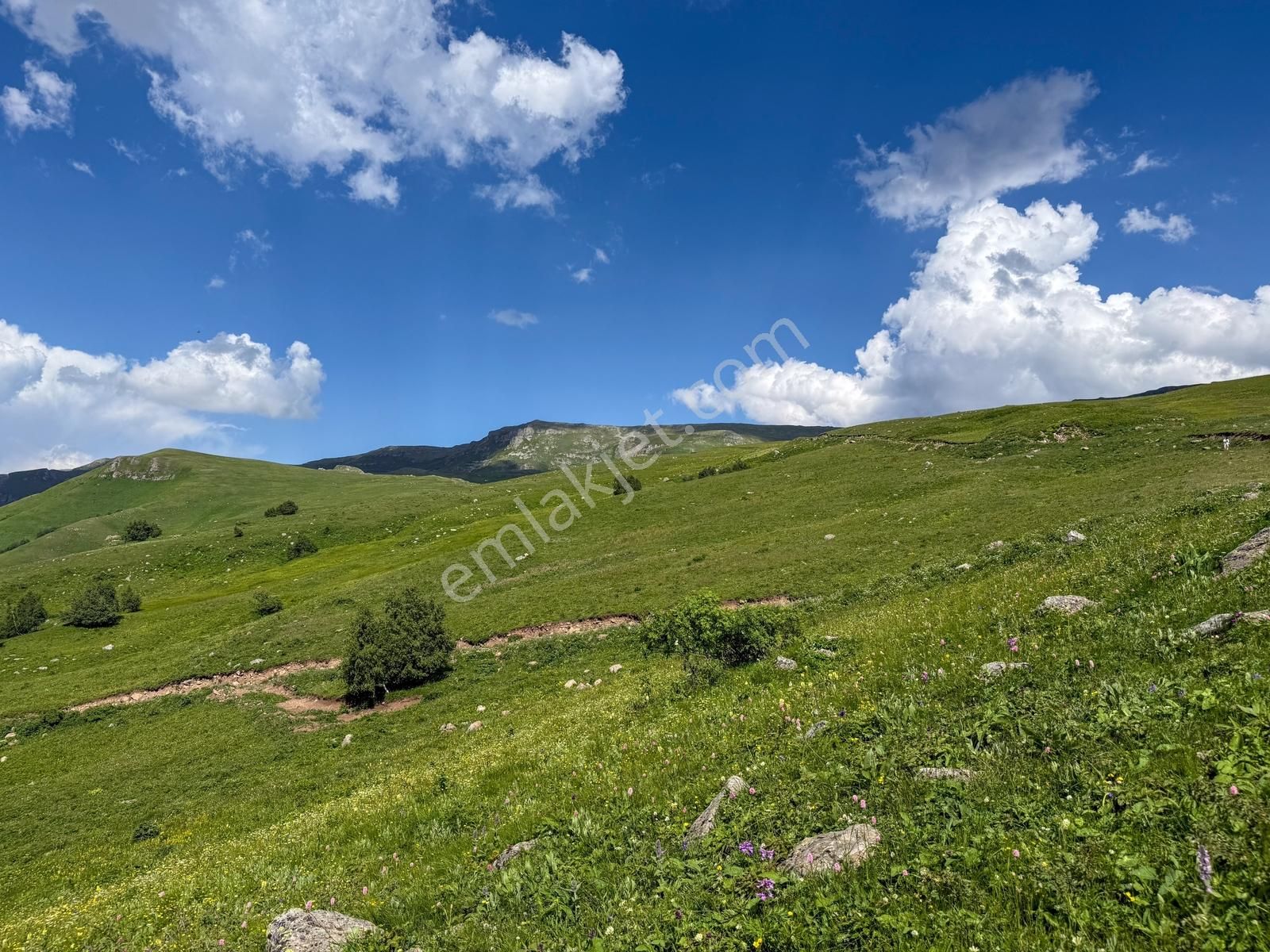 100.000₺ Peşin ! Müstakil Tapulu İmarlı Yayla Arsası Senin ! - Görsel 29