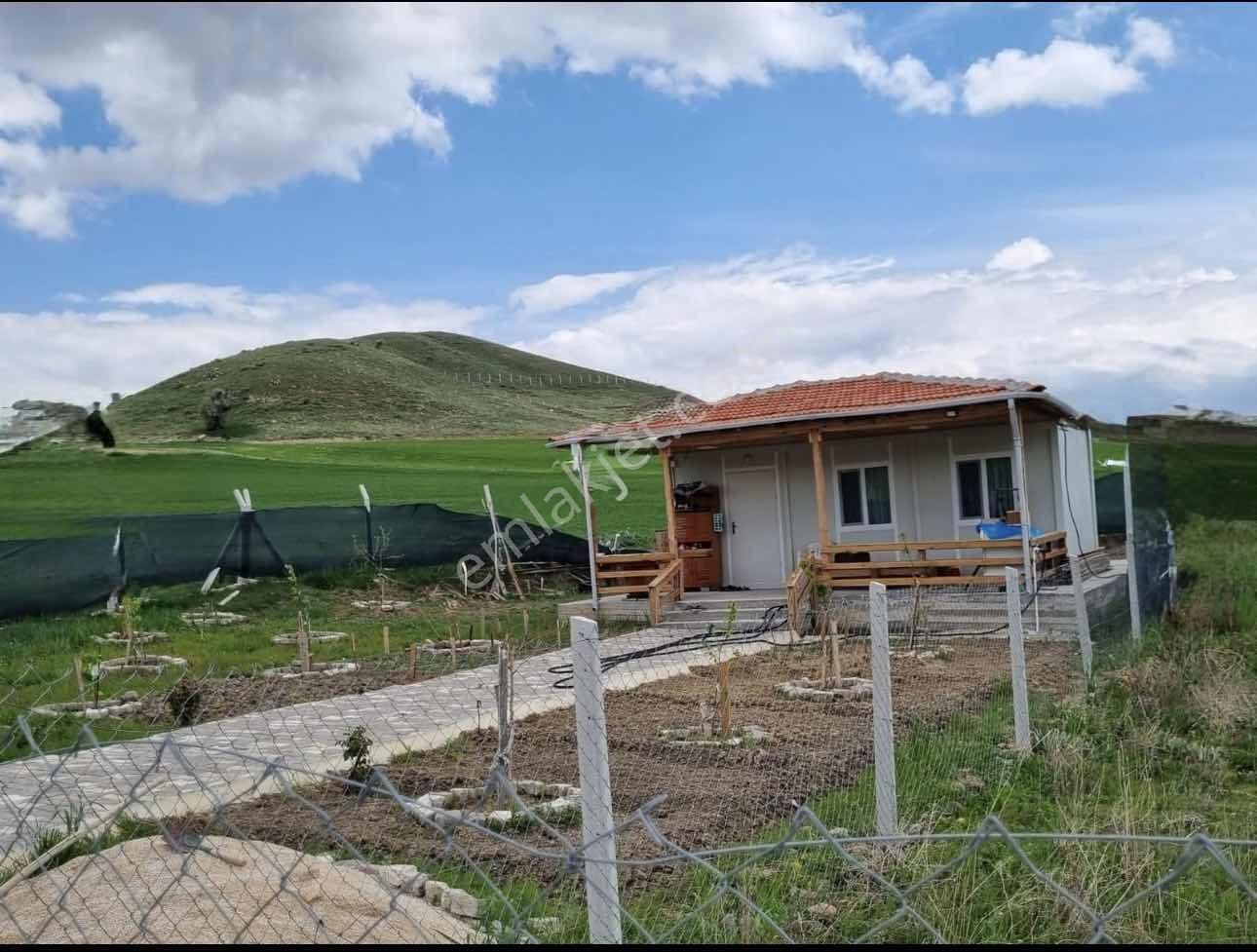 Beynam 500m2 Hisse Tapu Konteynerli Hobi Bahçesi Karadeniz Emlak - Görsel 35