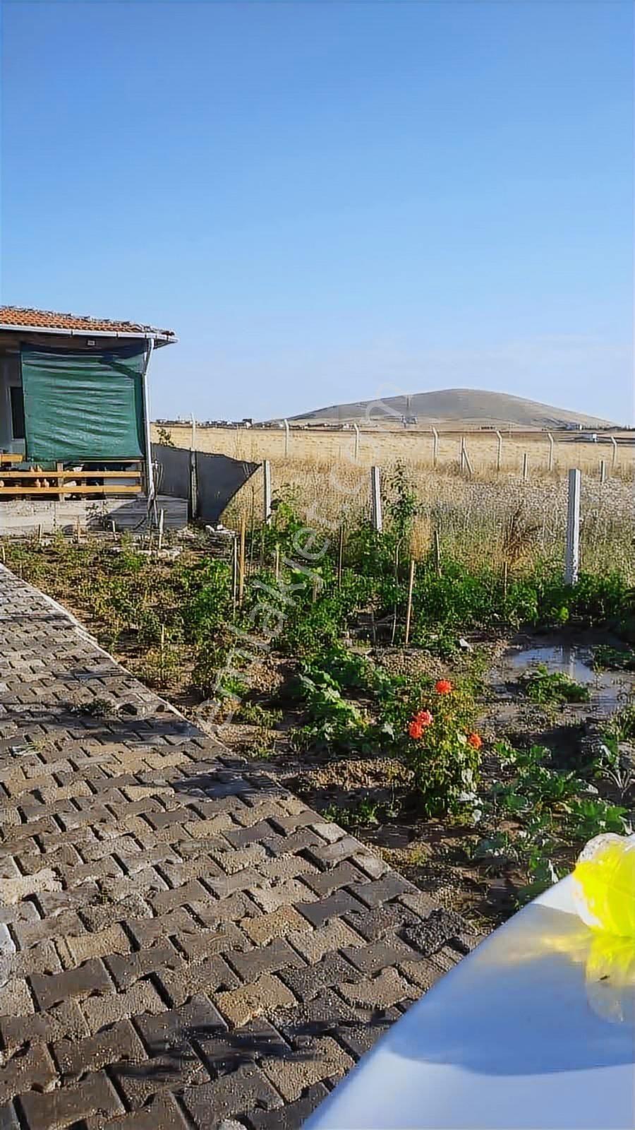 Beynam 500m2 Hisse Tapu Konteynerli Hobi Bahçesi Karadeniz Emlak - Görsel 21