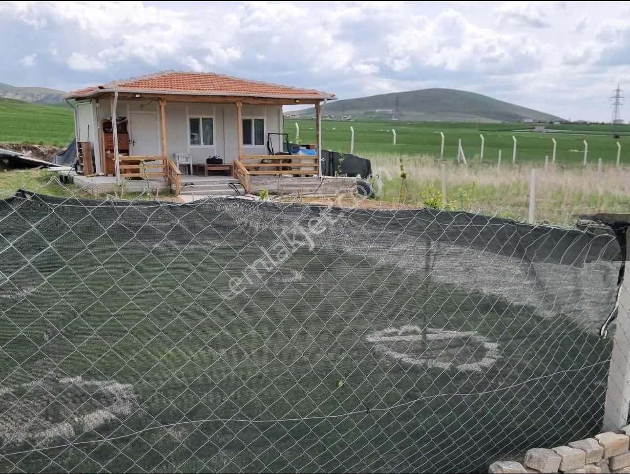 Beynam 500m2 Hisse Tapu Konteynerli Hobi Bahçesi Karadeniz Emlak - Görsel 33