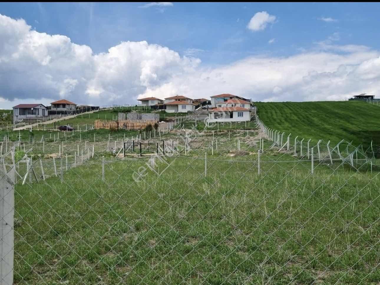 Beynam 500m2 Hisse Tapu Konteynerli Hobi Bahçesi Karadeniz Emlak - Görsel 20