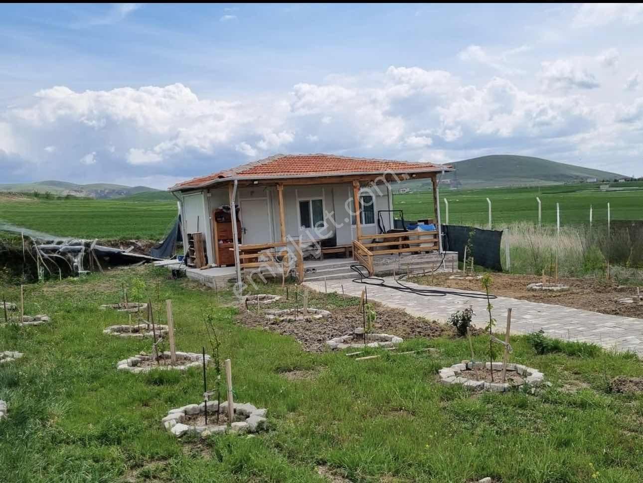 Beynam 500m2 Hisse Tapu Konteynerli Hobi Bahçesi Karadeniz Emlak - Görsel 3