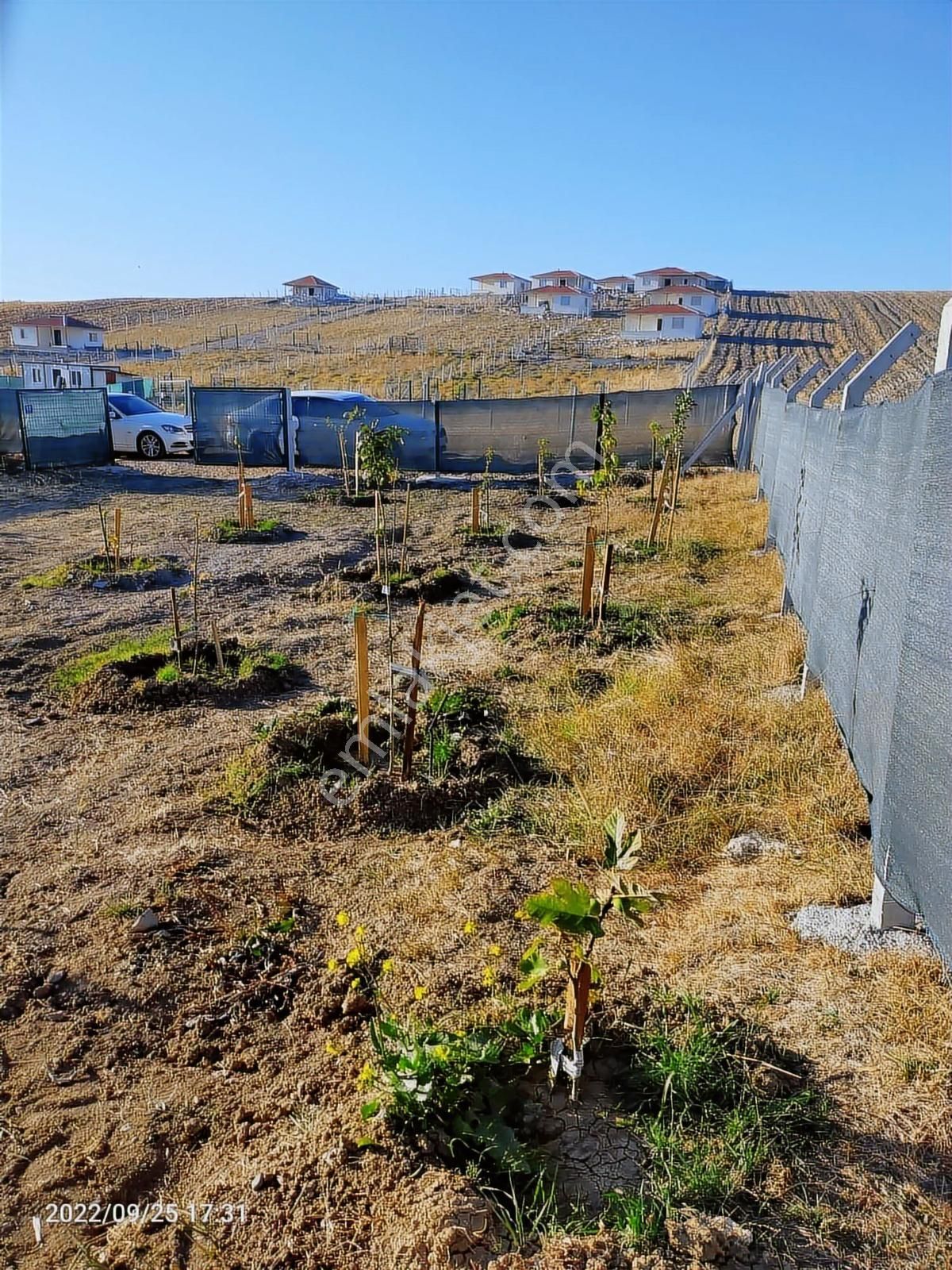 Beynam 500m2 Hisse Tapu Konteynerli Hobi Bahçesi Karadeniz Emlak - Görsel 7