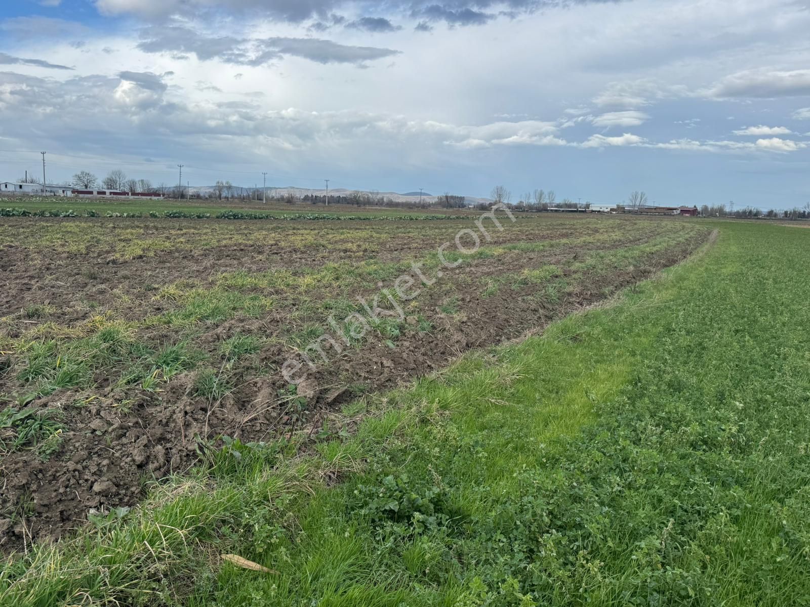 Yol Cepheli Fırsat Tarla ! Esencede 3.400 M2 Kaçırılmaz ! - Görsel 3