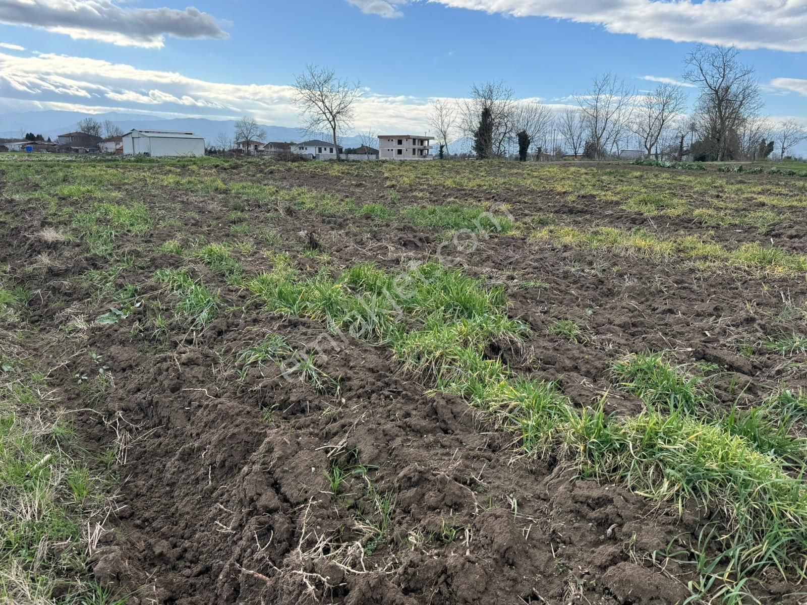 Yol Cepheli Fırsat Tarla ! Esencede 3.400 M2 Kaçırılmaz ! - Görsel 8