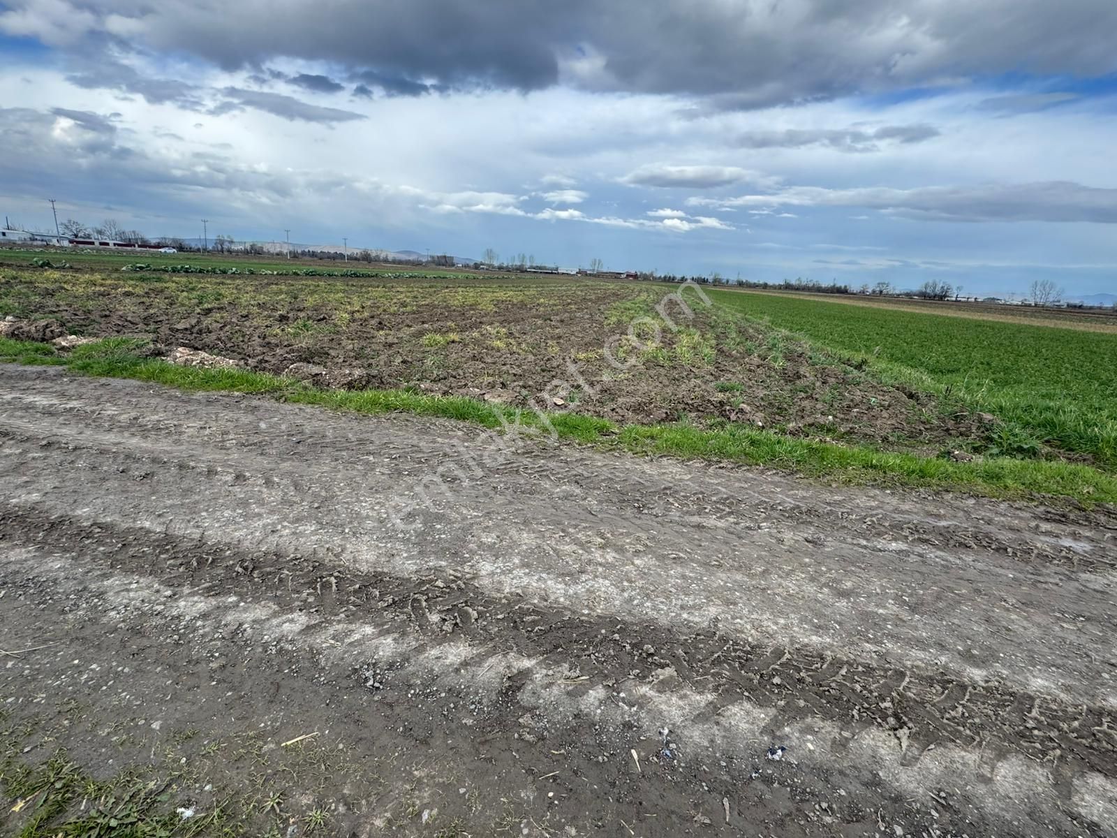 Yol Cepheli Fırsat Tarla ! Esencede 3.400 M2 Kaçırılmaz ! - Görsel 2