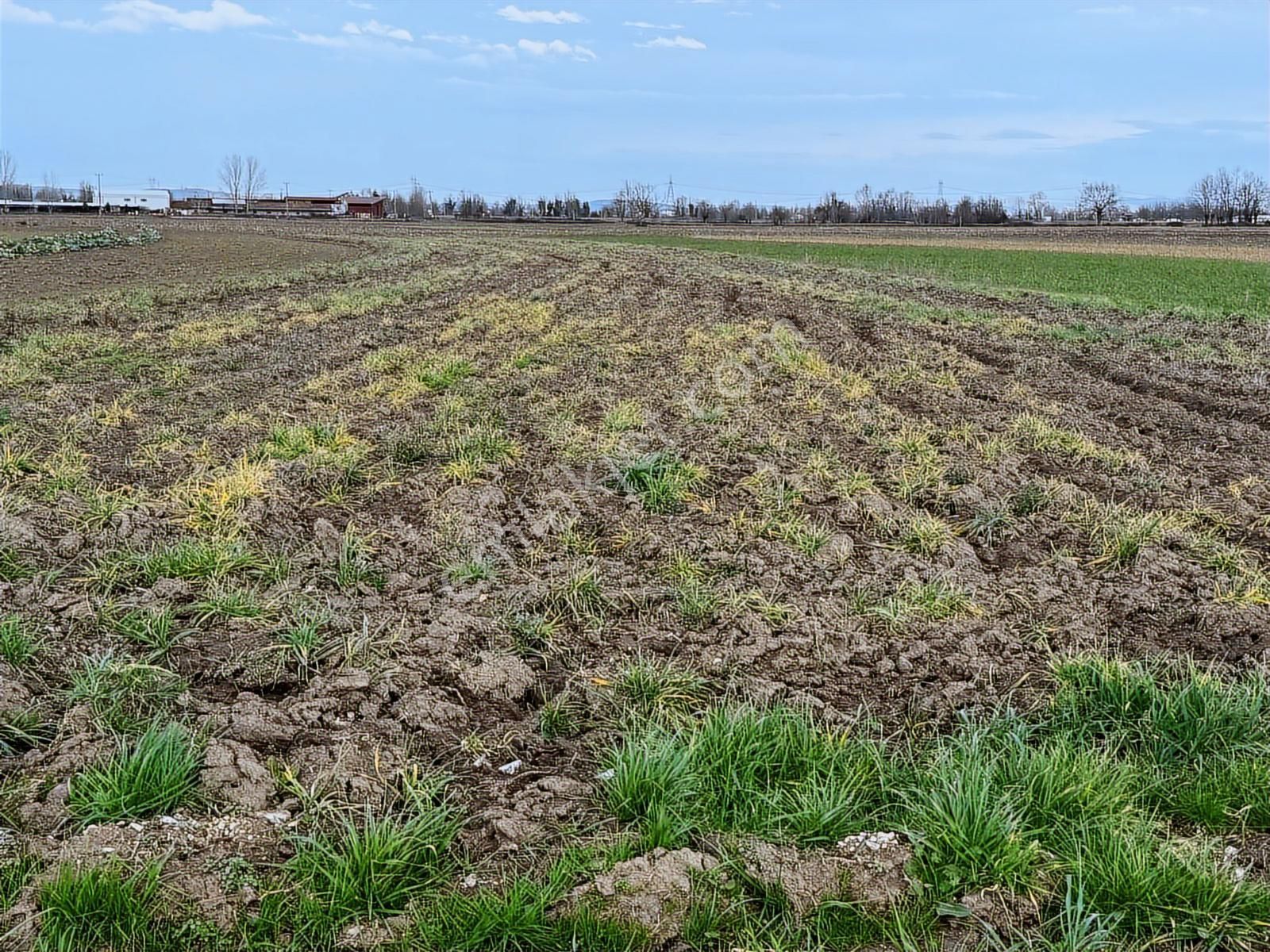 Yol Cepheli Fırsat Tarla ! Esencede 3.400 M2 Kaçırılmaz ! - Görsel 9