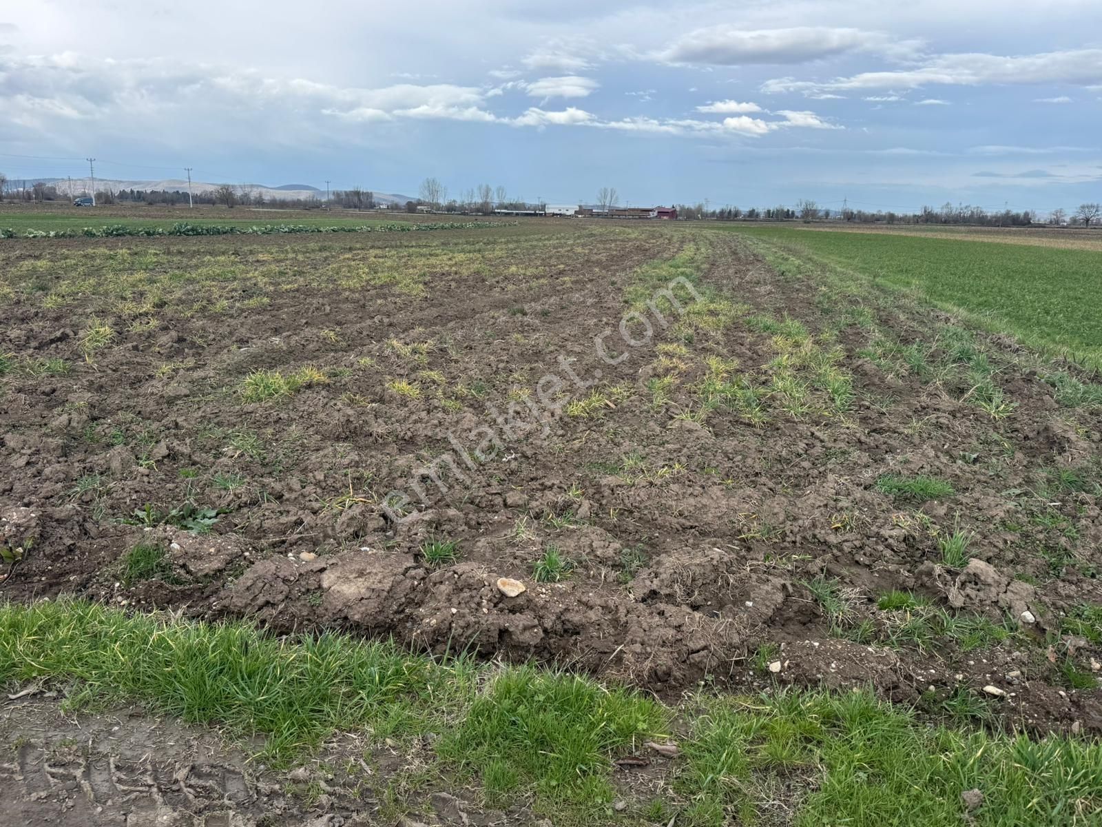 Yol Cepheli Fırsat Tarla ! Esencede 3.400 M2 Kaçırılmaz ! - Görsel 11