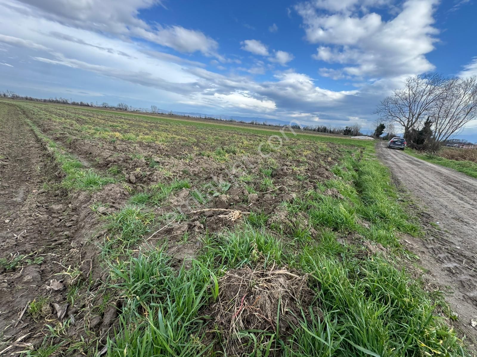 Yol Cepheli Fırsat Tarla ! Esencede 3.400 M2 Kaçırılmaz ! - Görsel 7