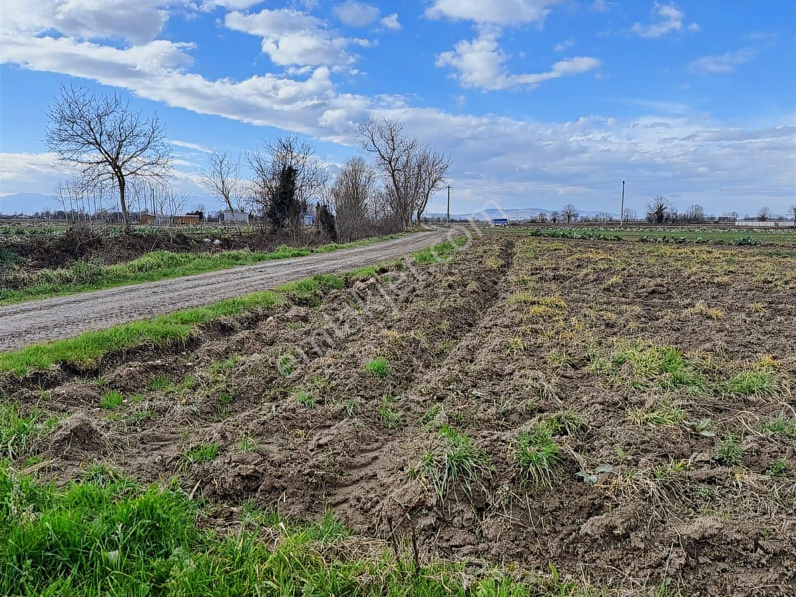 Yol Cepheli Fırsat Tarla ! Esencede 3.400 M2 Kaçırılmaz ! - Görsel 14